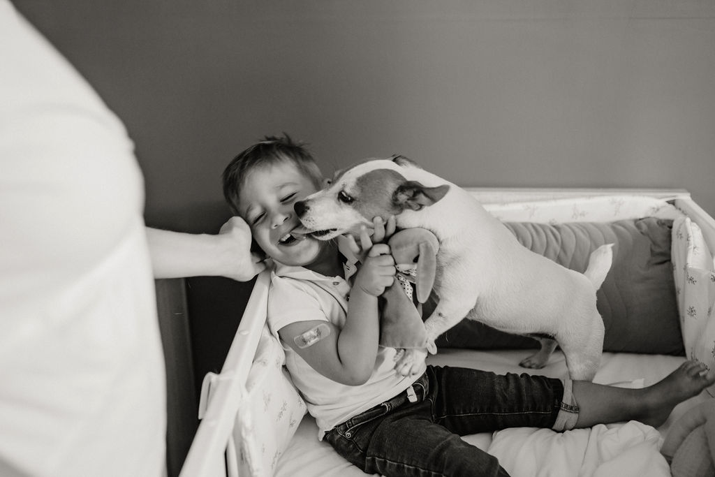 chloe sorbe photographe de famille dans la loire et le rhone grossesse et naissance5