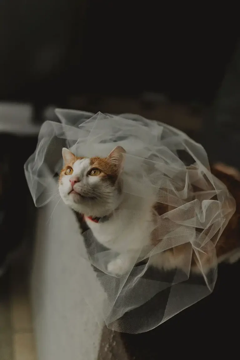 mariage scie du may à doizieux loire chloe buera sorbe photographe6